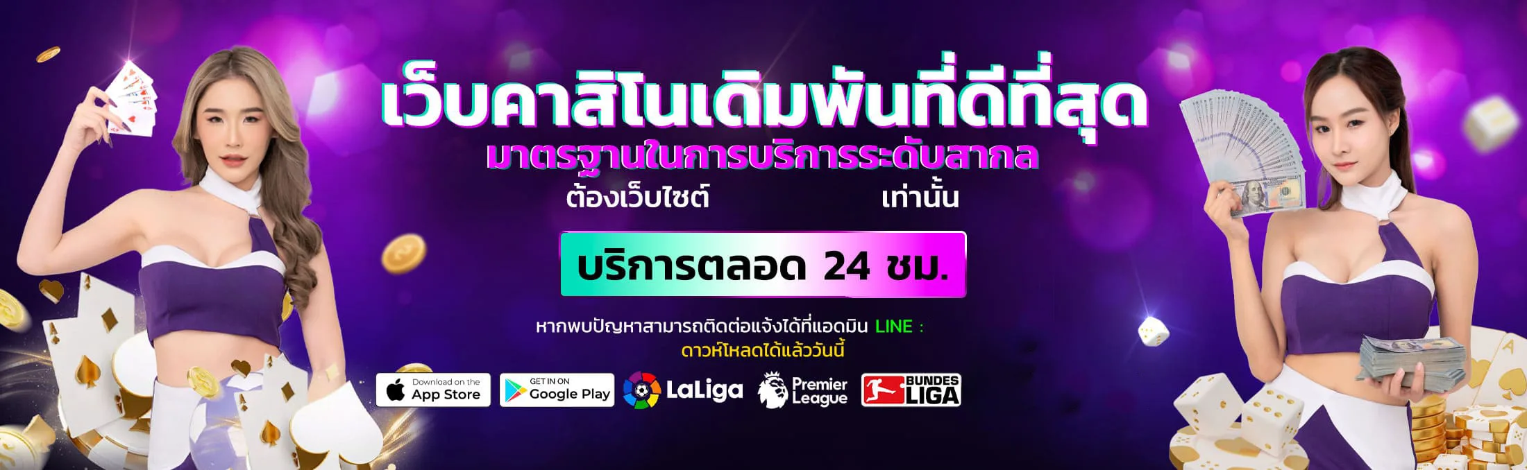 vpm44 banner